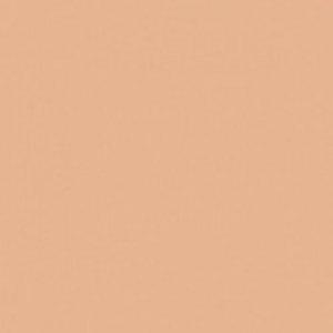 Paint and Paper Library Coral III Paint